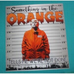 Something In The Orange...T-Shirt Trump MAGA 2024 Unisex Sz Plus 2XL Green Mens